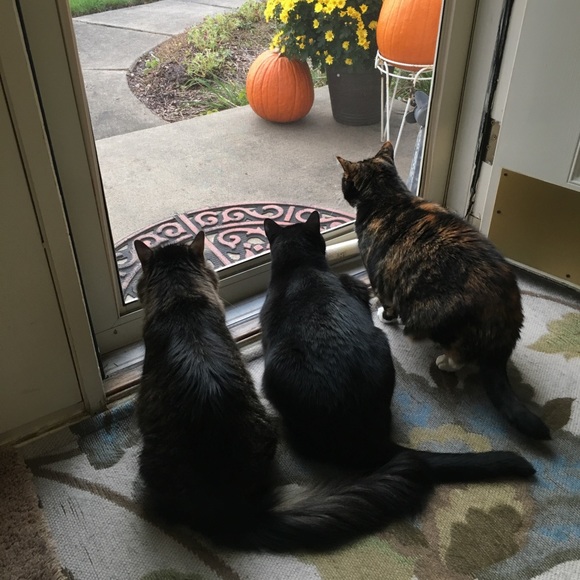 Meet your Posher, Melinda - Picture 1 of 1